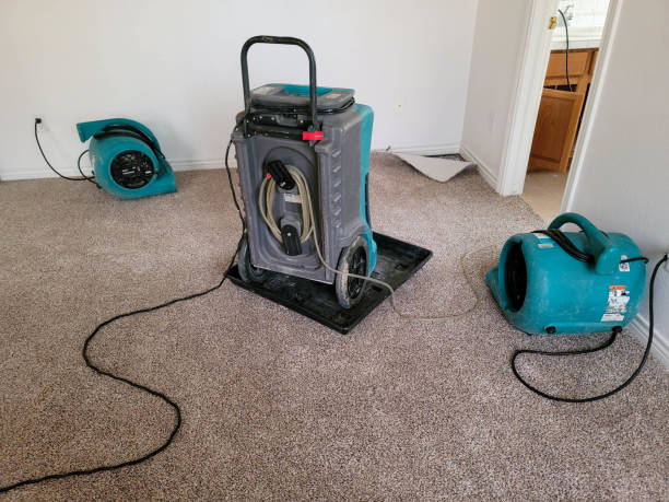Best Emergency water damage restoration  in Morton, TX
