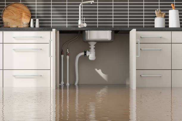 Best Water damage restoration near me  in Morton, TX