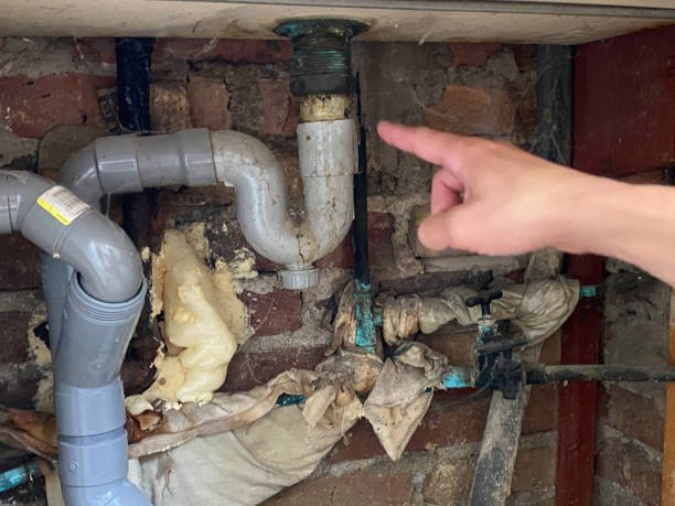 Best Water damage restoration near me  in Morton, TX