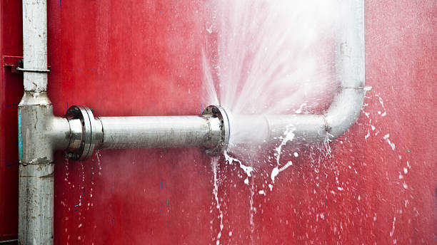 Best Water damage cleanup near me  in Morton, TX